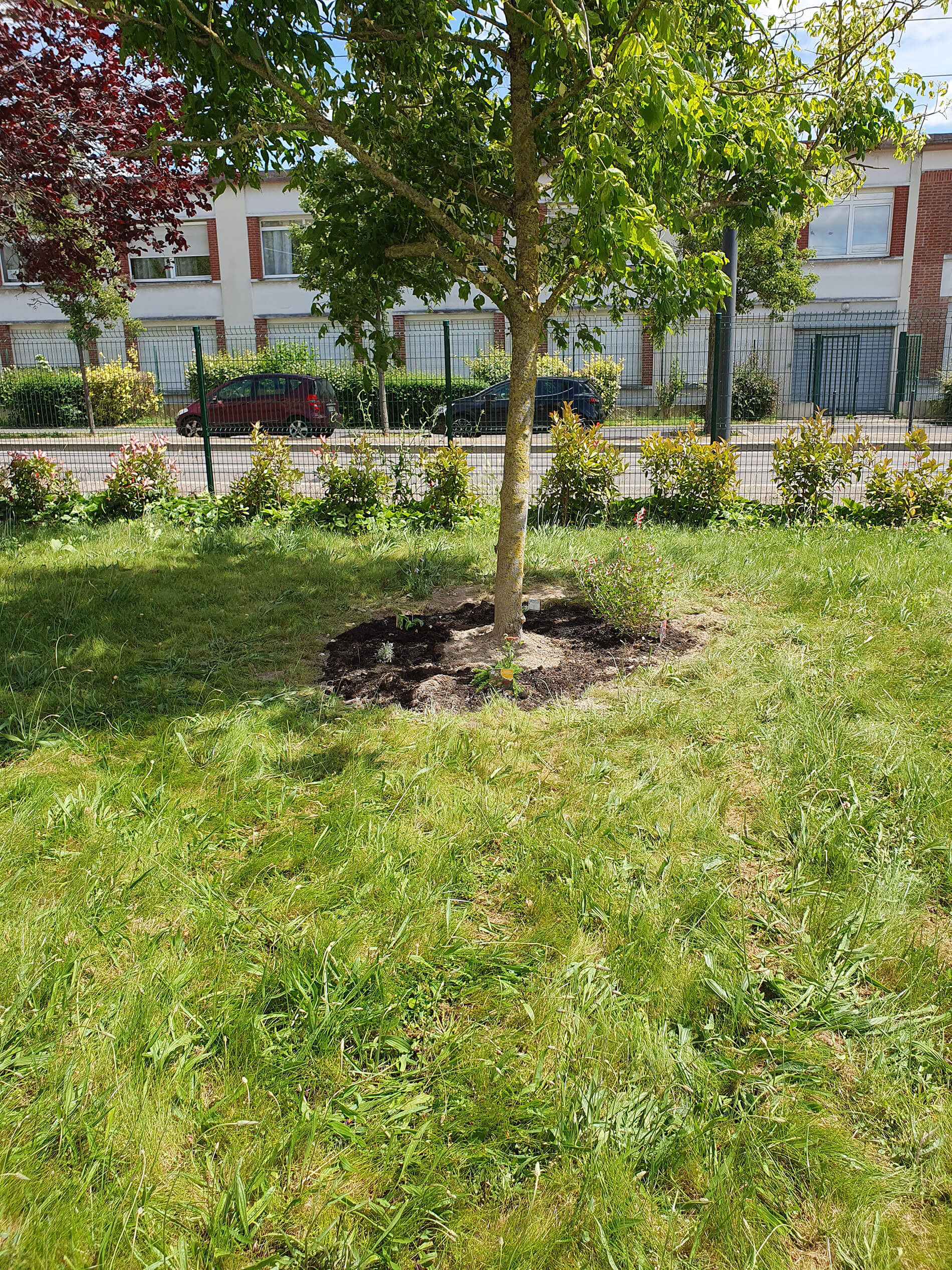 bandeau-luminatureims-accompagnement-amenagement-espace-naturel3
