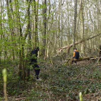 ateliers-thematiques-forêt