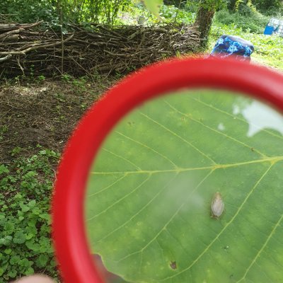 ateliers-thematiques-observer-nature-LuminatuReims
